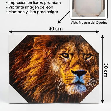 Cuadros de lienzo Traen los enganches para colgarlo en pared Verticales: 40 cm - Img 125905780