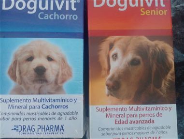 Vendo pastillas desparasitantes de perros - Img 64908187
