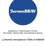 Bravecto, simparica, Pienso, vitaminas, simparica trio,probiotico, glucosamina. Tienda para mascotas (perros) - Img 52185630