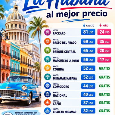 Alojamiento hotelero - 2/3
