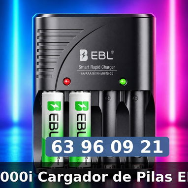 Cargador Pilas EBL - 3/3