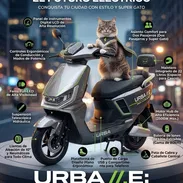 SUPER GATO URBA M.E. 🐱⚡ - Img 56360681
