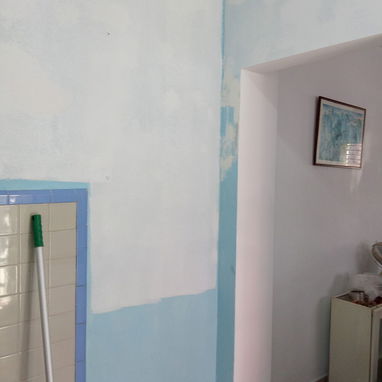 Albañil profesional y pintor. - 3/10