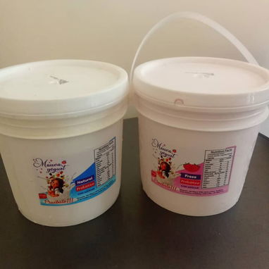 YOGURT PROBIÓTICOS 4/L DE CUAGULO - 2/3
