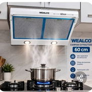Campana extractora de grasas y olores para cocina - Img 58433758