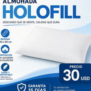 ✨ ¡ALMOHADA HOLOFILL! ✨   Almohada holofill de poliéster y algodón  ✅ Medidas : 50x60 🛡️ Garantía: 1 mes 🚚 ENVÍO X MÍN - Img 57626756