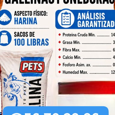 Vendo piensos para puercos y gallinas ponedoras - Img 124854026