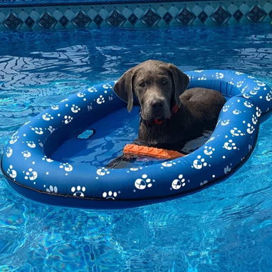 Flotador /piscina para perros, flotadores inflables para perros, flotadores de piscina para perros, flotadores de piscin - Img 87833611