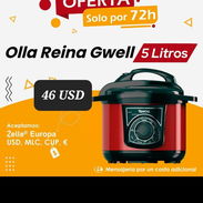 Ollas arrosera y reina - Img 55608877