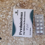 Prednisolona - Img 56509084