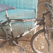 Bicicleta - Img 56675639