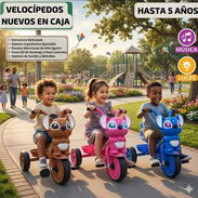 Velocipidos - Img 55756697