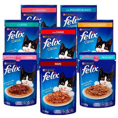 Comida húmeda para perros y gatos - Img 114617127