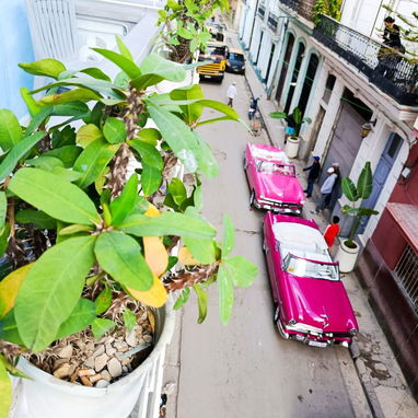 Apartamento para Renta lineal por tiempo indefinido.  Habana Vieja - Img 122646712