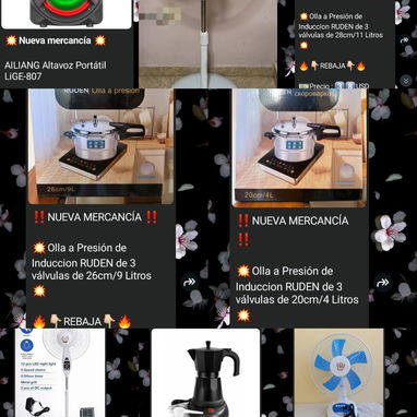 Arrocera, olla reina, olla electrica, cocina de gas, ollas de presión, ventilador recargable, microondas, cafetera, indu - Img 118863756
