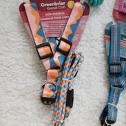 🐾🐶JUEGOS DE PECHERAS Y CORREA PARA SU MASCOTA🐕🦺🐶🐾 - Img 58375887