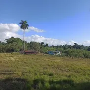 Propiedad en Bejucal - Img 54885092