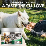 Probióticos para ayudar en la digestión de tu mascota - Img 54543065