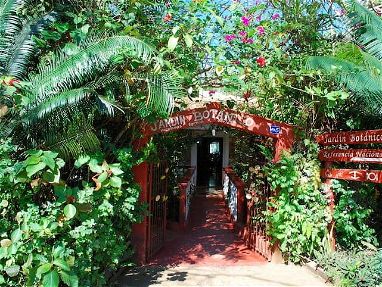 Casa en VIÑALES. Jardín botánico 🌴 - Img 69104359