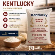 Harina kentlucky, en sacos de 25 kg Total 990 sacos el contenedo - Img 57015936