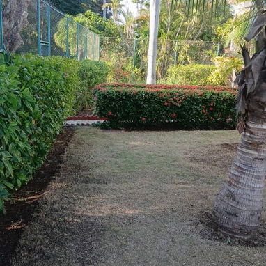 Servicio de jardinería 👩🏼‍🌾 - Img 127789654
