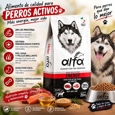 Comida/pienso para perros y gatos - 2/2