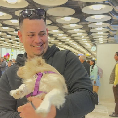 AGENCIA DE VIAJES DE MASCOTA - Img 123866809