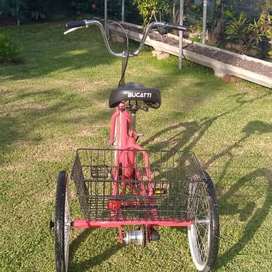 Triciclo - 2/4