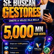 GESTORES DE VENTA - Img 56165685