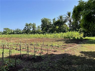 Se vende Casa Finca en El Chico, totalmente independiente, gran terreno propio, árboles frutales y tierra para cultivo - Img 67878889