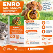 Antibiótico en suspension para cachorros - Img 58239854