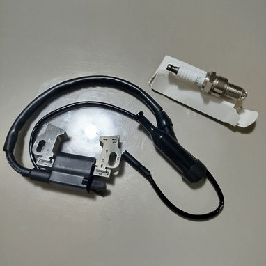 ⚡️ ¿SE TE DAÑÓ LA PLANTA ELÉCTRICA?⚡️ Repuesto BOBINA de encendido - 2/4