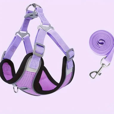 Correas con pecheras animadas !!! Para perritos o gatitos preciosas y diseños únicos - Img 102883572
