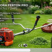 Chapiadora Ferton 52cc - Img 56628253