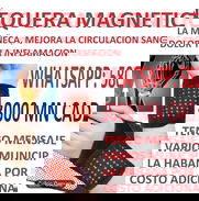 LAS MUÑEQUERAS MAGNÉTICAS QUE TE AYUDAN A MEJORAR LA CIRCULACIÓN SANGUÍNEA ENTRE OTRAS COSAS. WHATSAPP: 58047862 - Img 49105906
