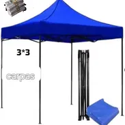 Carpas - Img 57998343