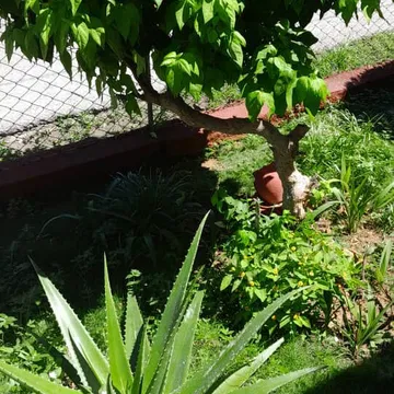 🧊Casa Muy Cerca de la Playa de1 Habitacións en Varadero REF 1433