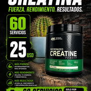 CREATINA MONOHYDRATE - Img 55892539