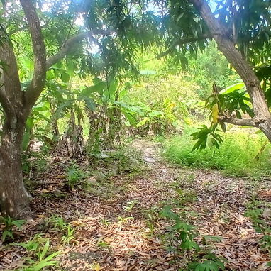 Venta de finca en cojimar 4800 m² - 8/10