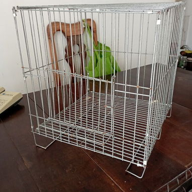 para aves - 2/2