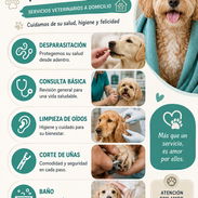 SERVICIO VETERINARIO A DOMICILIO - Img 57252169