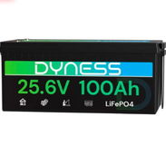 Batería LiFePO4 24V 100Ah (2560Wh) Dyness con BMS 100A y Protección de Baja Temperatura – Ideal para Sistema Solar, RV - Img 56810715