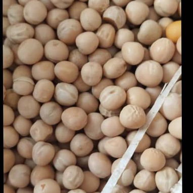 Vendo piensos para puercos y gallinas ponedoras 56 70 29 86 - Img 126330531