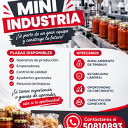 EMPRENDEDOR PORCINO - Img 57326257