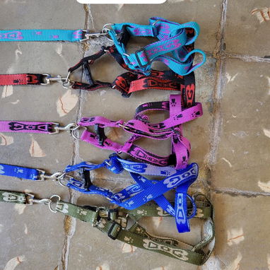 Correas para tus mascotas diferentes tallas y tipos - Img 125190371
