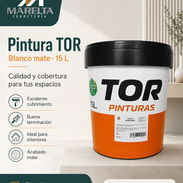 M-✅ PINTURA TOR DISPONIBLE — COMPRA CON RESPALDO Y TRANQUILIDAD - Img 57017245