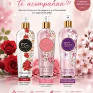 COLONIA CLASICA MAJA, 240ML - Img 53813631