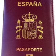 FORRO PASAPORTE ESPAÑOL. 50150948. - Img 54910409