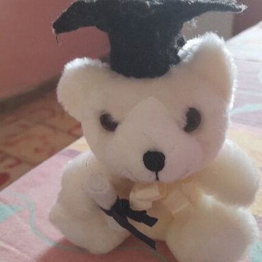 Se venden peluches - 4/6