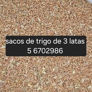 Vendo sacos de maiz y de trigo - Img 58310374